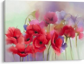Obraz vlčích makov (70x50 cm)