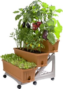 BAMA súprava kvetináčov ORTO DI TR, terracotta