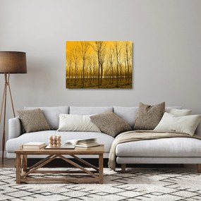 Sklenený obraz lesa pri západe slnka (70x50 cm)