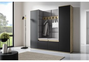 Predsieňová stena AMI 31 Bez zrkadla Dub artisan + čierna Sivá II