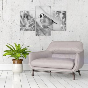 Obraz - Vtáčik v zime (90x60 cm)
