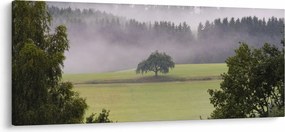Obraz lúky so stromom (120x50 cm)