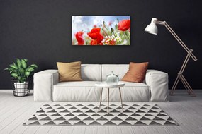 Obraz Canvas Maky sedmokrásky kvety 140x70 cm