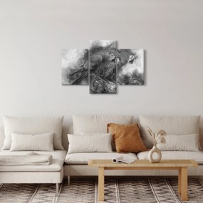 Obraz - Akvareloví papagáje (90x60 cm)