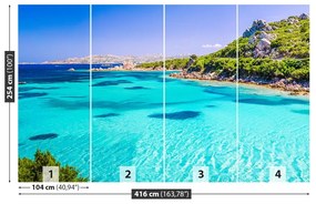 Fototapeta Vliesová Sardínia mora 250x104 cm