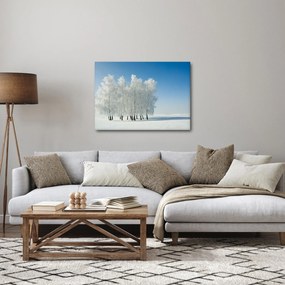 Obraz zasneženej krajiny (70x50 cm)