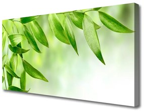 Obraz Canvas Zelené listy príroda 100x50 cm
