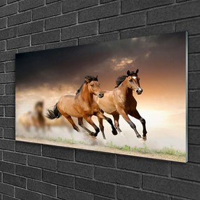 Obraz na skle Kone zvieratá 120x60 cm