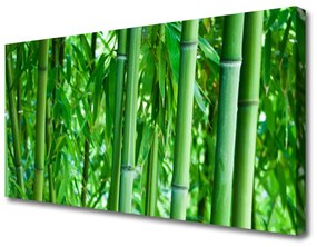 Obraz na plátne Bambus stonka rastlina 100x50 cm