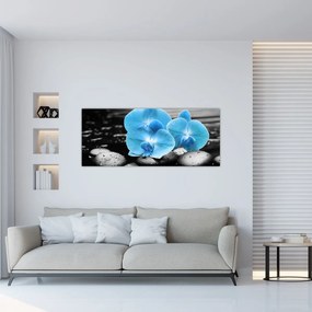 Obraz - Modrá orchidea (120x50 cm)