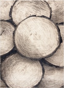 Dywany Łuszczów, Kusový koberec Fusion 9612 cream/beige, 160x220, béžová, kancelária