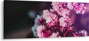 Obraz kvetov stromov (120x50 cm)