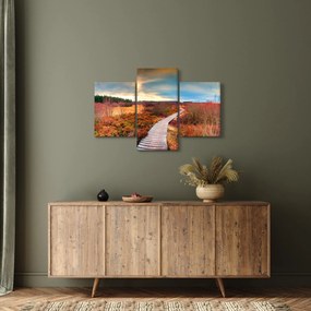 Obraz - Jesenná cesta krajinou (90x60 cm)