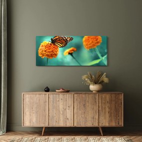 Obraz motýľa (120x50 cm)