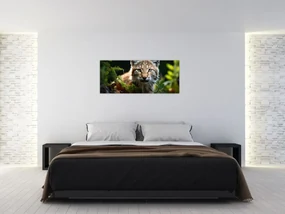 Obraz - Rys (120x50 cm)