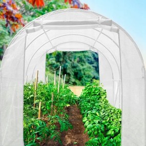 Záhradný fóliovník s rozmermi 2,5 x 4 m Biely