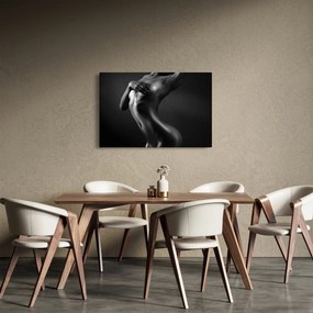 Obraz - Akt ženy (90x60 cm)