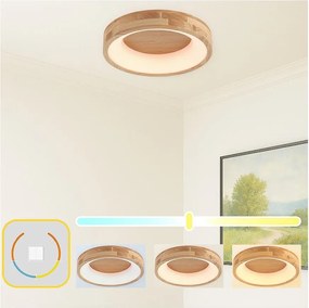 Brilagi-LED Stropné svietidlo FALCON WOOD LED/30W/230V 3000/4000/6000K 45 cm drevo