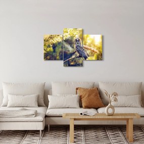 Obraz sovy na strome (90x60 cm)
