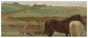 Obraz - Edgar Degas, Horses in a Meadow, reprodukcia (120x50 cm)