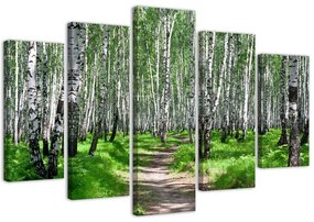 Obraz na plátně pětidílný Příroda březového lesa - 150x100 cm