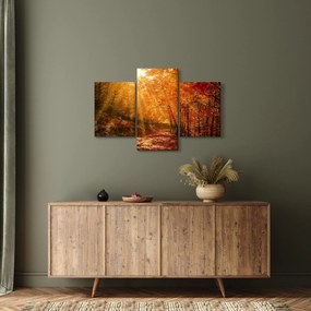 Obraz jesenného lesa (90x60 cm)