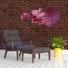 Obraz prírody - makrá