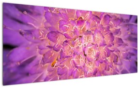 Detailný obraz kvetu (120x50 cm)