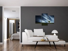 Obraz polárna žiara nad vresoviskom (90x60 cm)