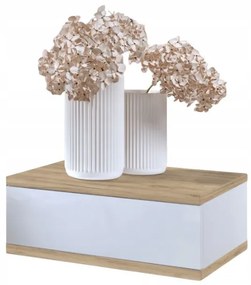 Nočný stolík LOFT - dub craft zlatý/biely