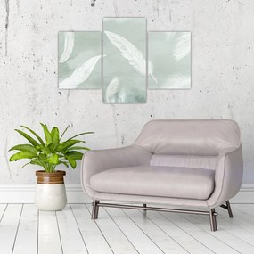 Obraz - Biele pierka (90x60 cm)