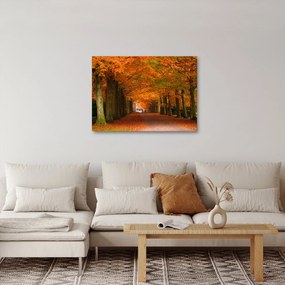 Obraz - Jeseň Alej stromov (70x50 cm)