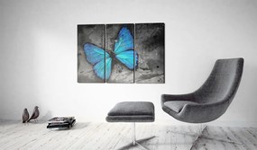 Artgeist Obraz - The study of butterfly - triptych Veľkosť: 60x40, Verzia: Na talianskom plátne