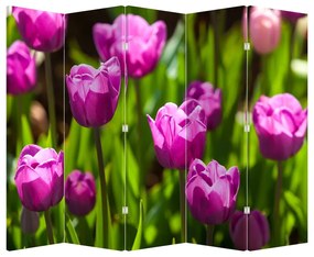 Paraván - Tulipány na lúke (210x170 cm)