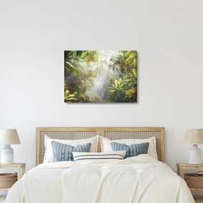 Obraz - Tropický dažďový prales (70x50 cm)