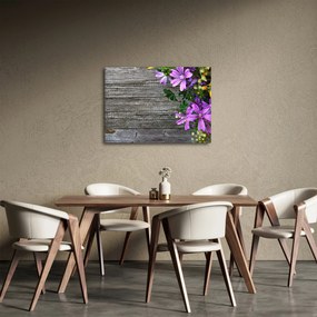 Obraz - lúčne kvety (70x50 cm)