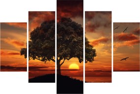Obraz stromu pri západe slnka (150x105 cm)