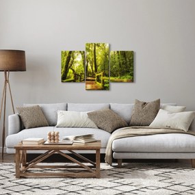 Obraz machové džungle (90x60 cm)