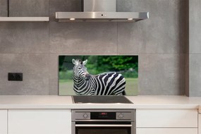 Nástenný panel  Zebra box 120x60 cm