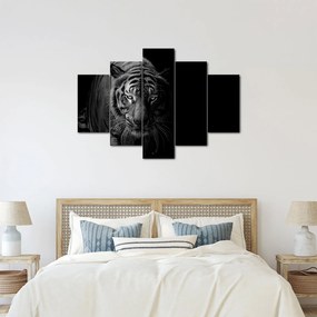 Obraz divokého tigra (150x105 cm)