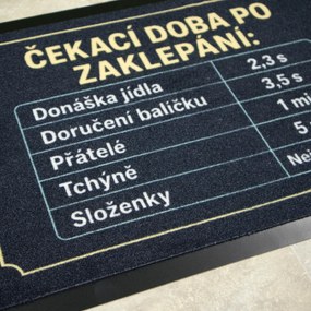 Mercury Flooring, Rohožka Čakacia doba 40x60 cm - na von aj na doma, 40x60, čierna