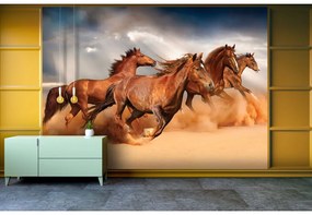 Fototapeta na stenu Horses in the desert