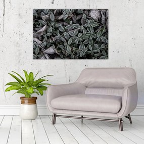Obraz - Zamrznuté rastliny (90x60 cm)