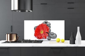 Sklenený obklad Do kuchyne Kvety gerbery kamene zen 140x70 cm