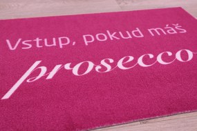 Mercury Flooring, Rohožka Vstup pokiaľ máš Prosecco 40x60 cm, 40x60, ružová