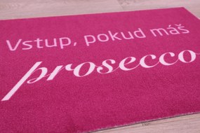 Mercury Flooring Rohožka Vstup pokiaľ máš Prosecco 40x60 cm - 40x60 cm