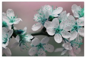 Obraz kvetov - tyrkysové (90x60 cm)
