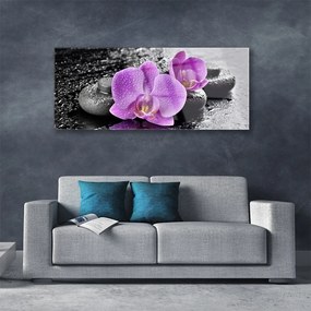 Obraz plexi Orchidea kvety kamene zen 125x50 cm