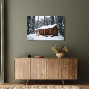 Obraz - Zasnežená chata (90x60 cm)