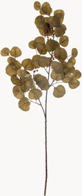 Rastlinné dekorácie Eucalyptus, 3 ks